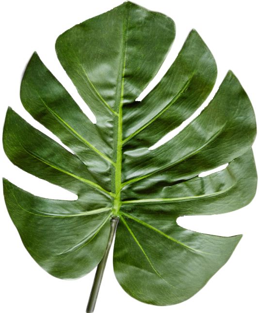 仿真龟背叶北欧ins客厅家居绿植装饰摆设插花花艺搭配
