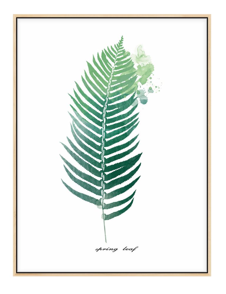 北欧风格装饰画客厅壁画简约小清新植物挂画沙发墙画样板间装饰画