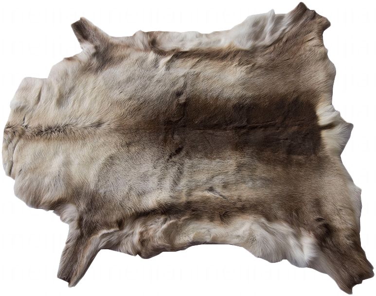 现货限量整张驯鹿毛皮地毯 书房卧室客厅装饰天驯鹿然真皮毛地毯-单品