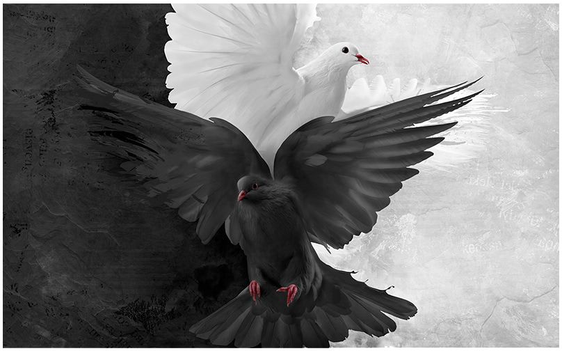 masar 简约磨砂壁纸黑白鸽子