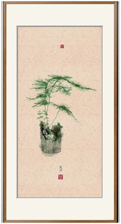 画作客厅植物花卉文竹手绘速写106311d